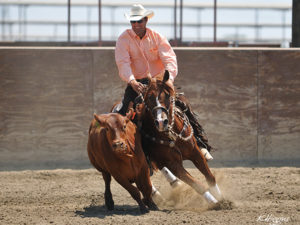  Silky Smooth Hickory- Kathy Higgins photo