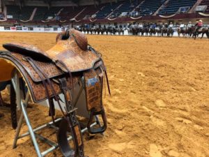 NRCHA Snaffle Bit Futurity 2019