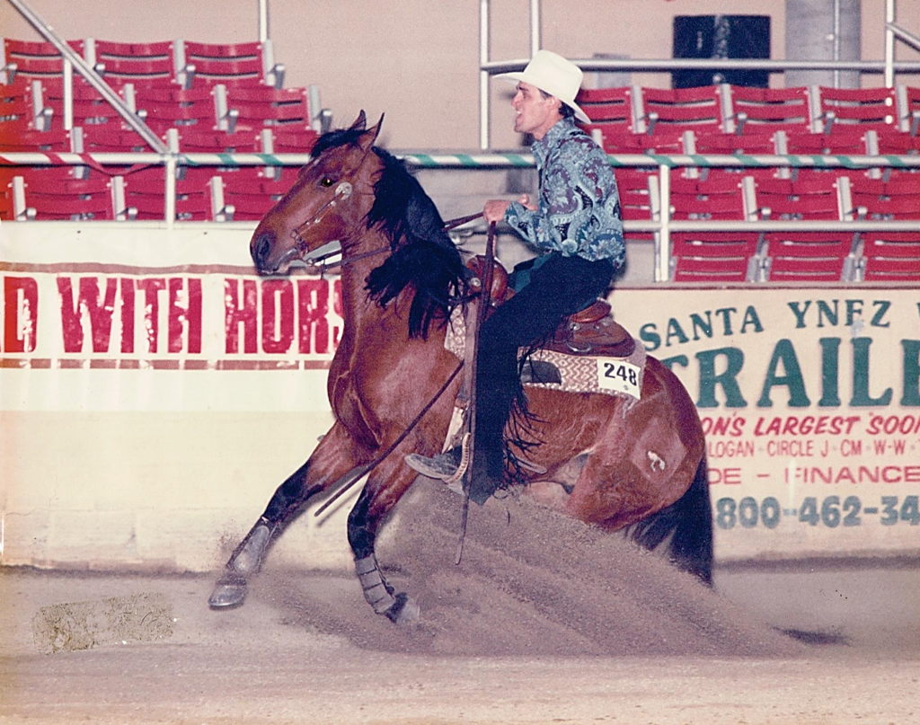 2018 Wild Spayed Filly Futurity - PTH » Johnston Performance Horses