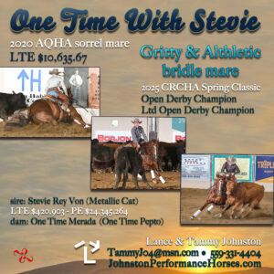 One Time With Stevie